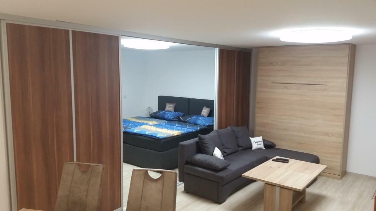 Ferienwohnung Sandra Hockenheim Ngoại thất bức ảnh